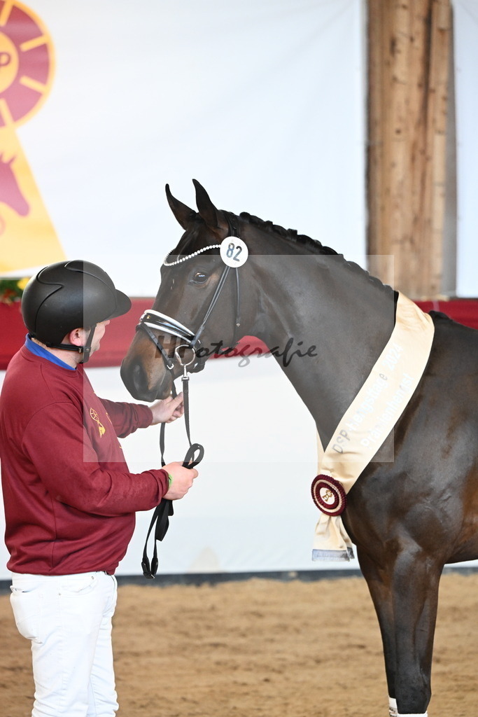 Kat.-Nr. 82 v. Von Und Zu_Berger_2242974 | hf-fotografie - Realisiert mit Pictrs.com