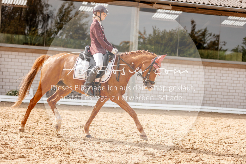 3I6A4329 | Stimmungsvolle Portraits und Reitsportfotografie im Ruhrgebiet und im Münsterland.

Pferdefotografie, Hundefotografie, Tierfotografie, Reportagen, Portraits von Tier und Mensch, Turnierfotografie in Bochum, Recklinghausen, Marl, Haltern am See, Dülmen.. - Realisiert mit Pictrs.com
