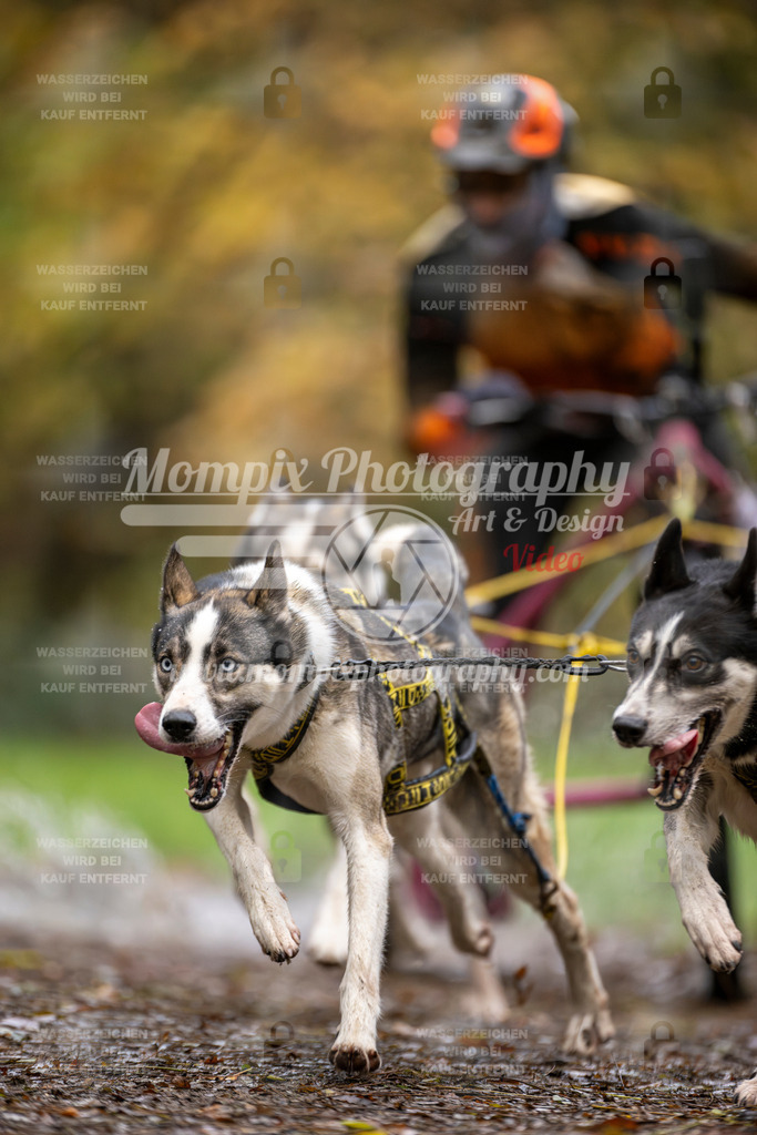 MompixPhotography_Bischwiller23_Kart-3 | PayLife