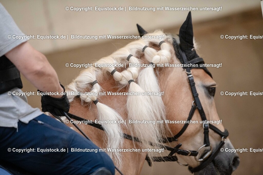 20250725_Vielseitigkeitslehrgang-Marbach_0420 | Foto: Thomas Hartig