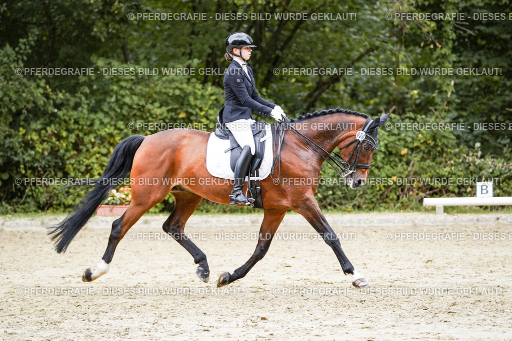 DSC07741 | Pferdegrafie