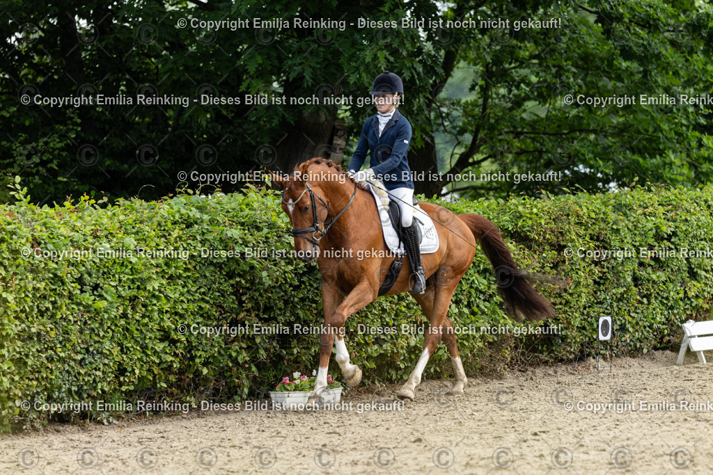 CL5A5099 | Emilia Reinking Fotografie - Realisiert mit Pictrs.com