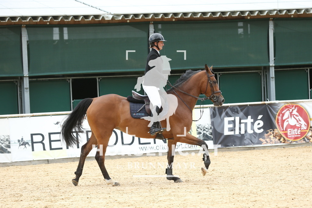 DL2Q5909 | Willkommen bei Brunnmayr - Design & Fotografie – Ihrem Spezialisten für Reitturniere und Pferdeveranstaltungen in Oberösterreich, Salzburg und Bayern! Seit über 17 Jahren sind wir leidenschaftlich dabei.