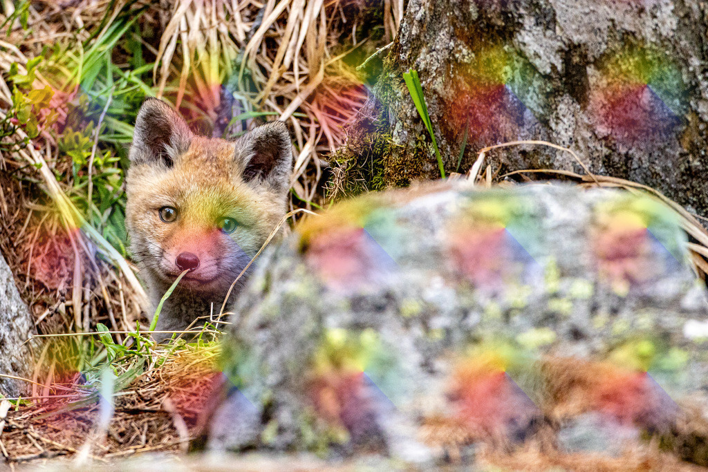 1M5A9739 | FineArtPrint, Hahnemühle, FeeGalerie, Fee Galerie, Fotokunst, Fotografie, Canonphotography, Bergfoto, Matterhorn, Rimpfischhorn, Allalinhorn, Saas-Fee, Wallis, Valais, Switzerland, Bergfotografie
