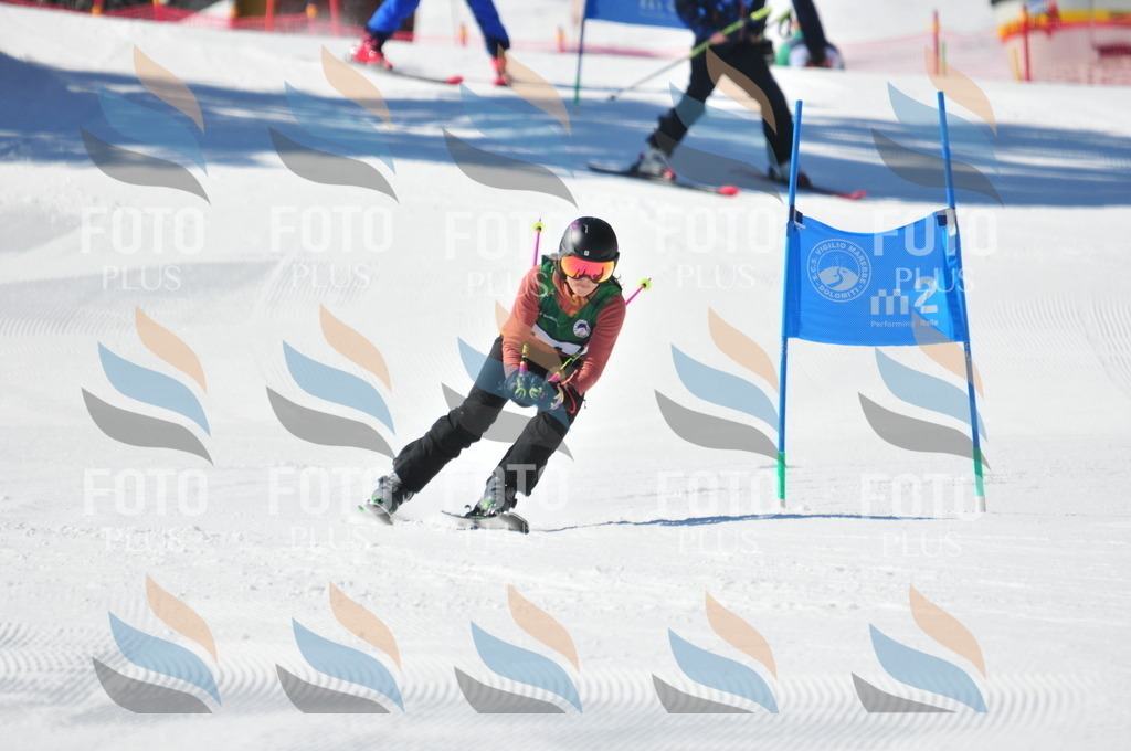 C3983 | holidayphoto