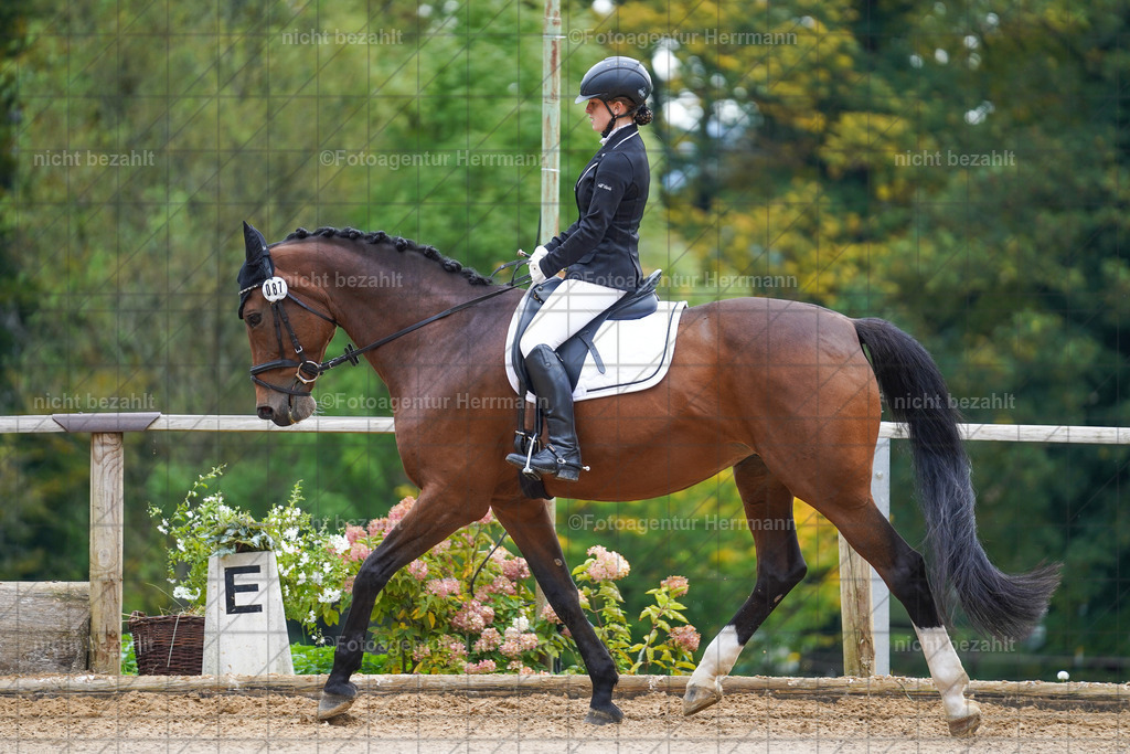 20221008-FAH01107 | Diessen am Ammersee, 2022, Dressur- und Springturnier, Reitsportbilder, Turnierfotografen Bayern, Pferdefotografen, Fotoagentur Herrmann, Turnierbilder