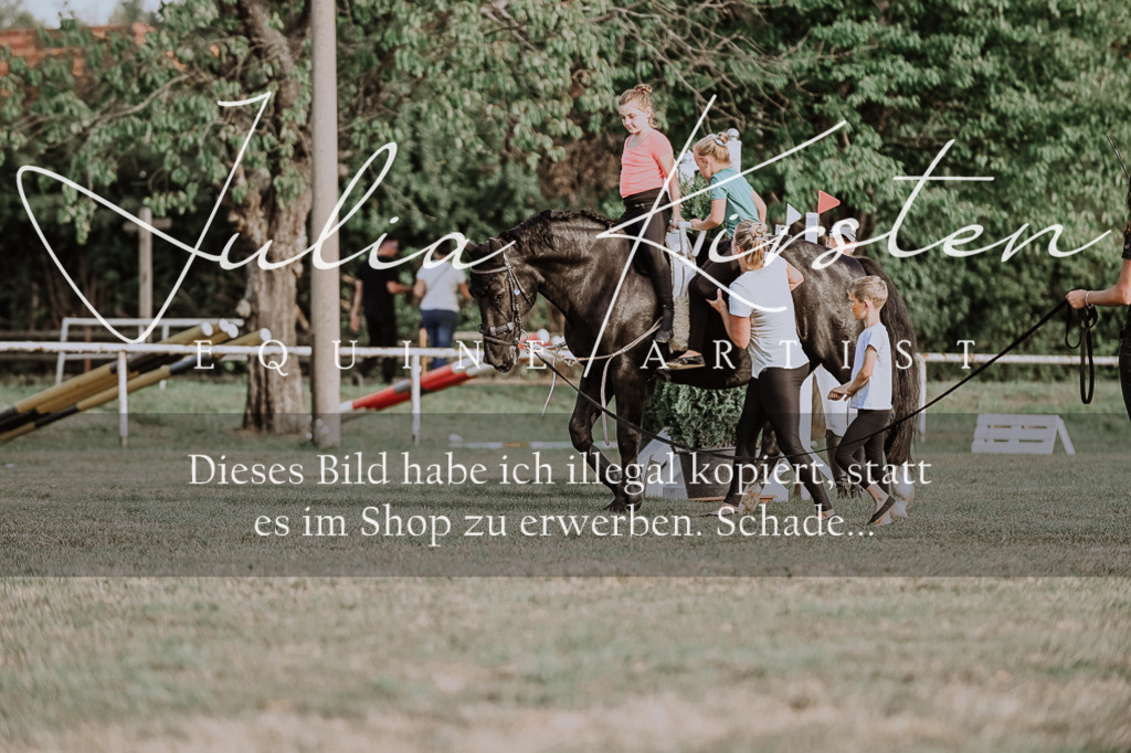 DSC_0015 | Pferde- und Turnierfotografie in Westsachsen. Pferdeportraits, Auftragszeichnungen und intuitive Kunst.