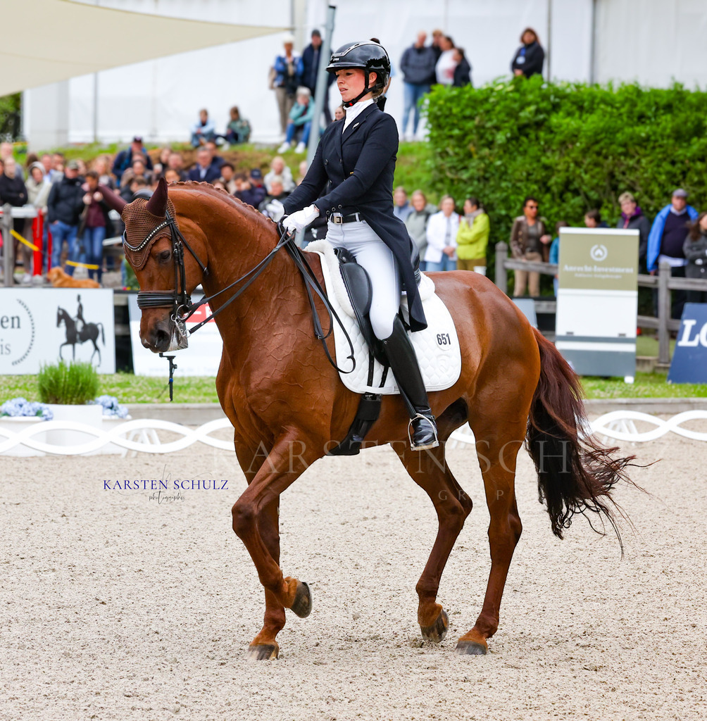 1B3A7529 | Reitsport Reiten