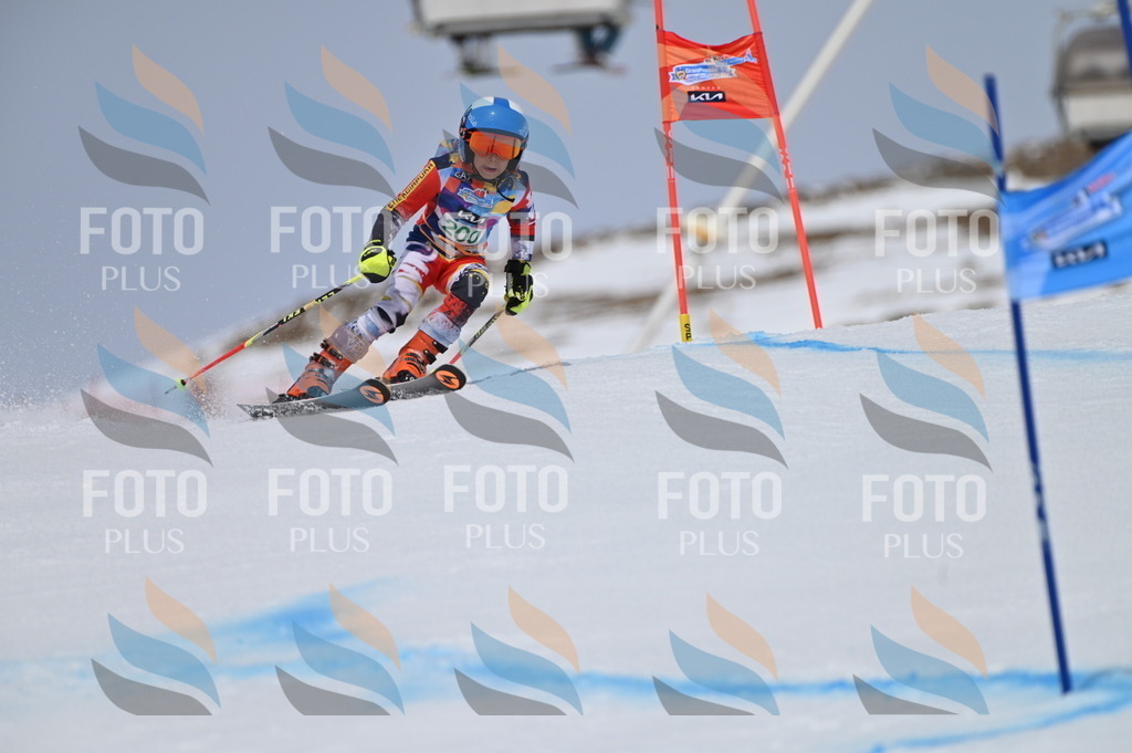 BGV_3846 | holidayphoto