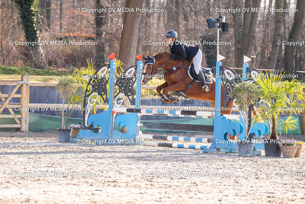 Kranichstein Tag 1-004 | dv-media-shop - Realisiert mit Pictrs.com