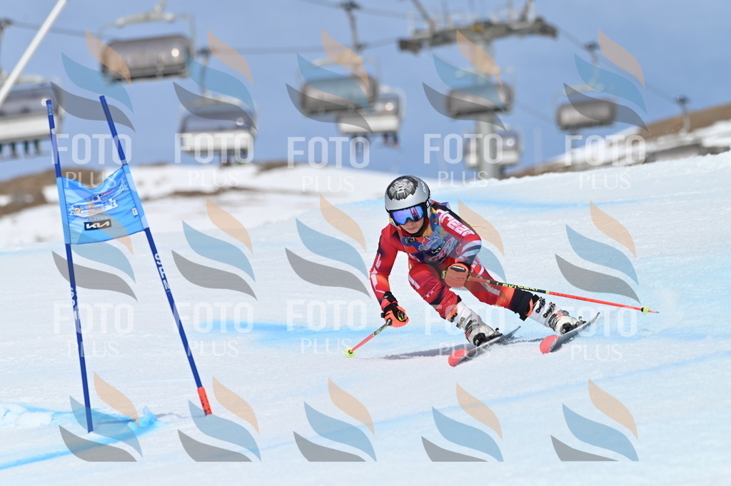 BGV_1445 | holidayphoto