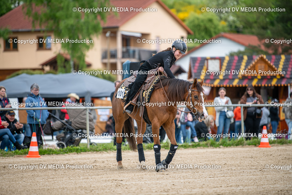 Heiligenwald Tag 2-2102 | dv-media-shop - Realisiert mit Pictrs.com