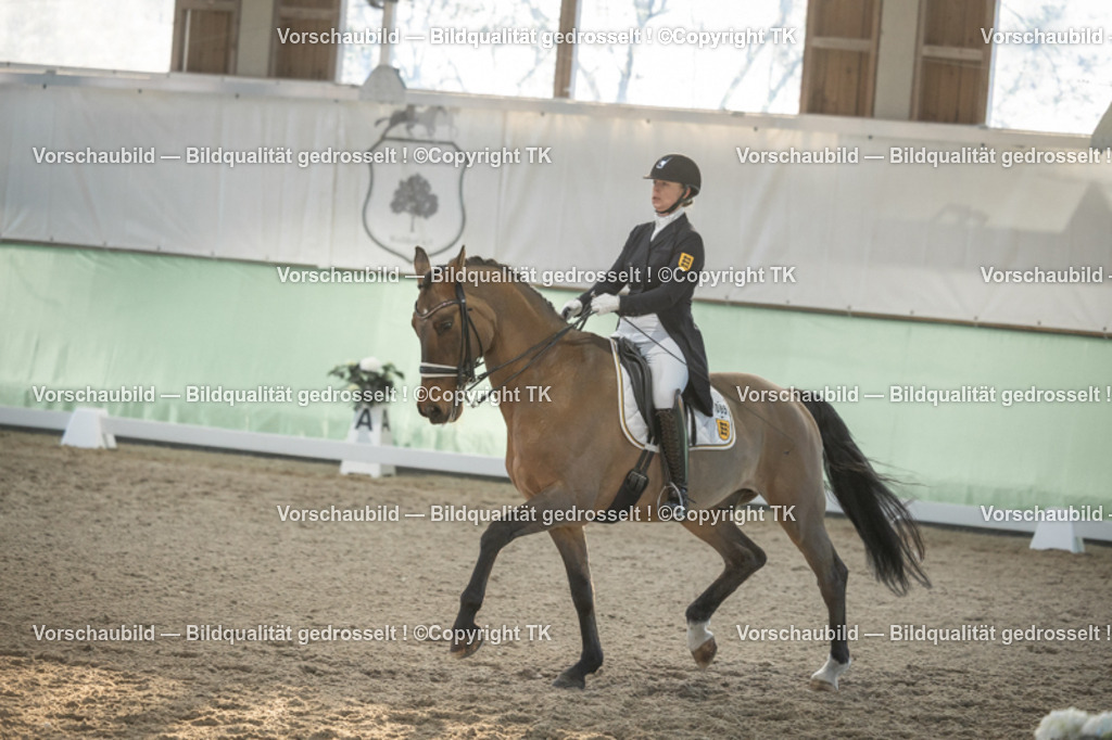 _D5A0887 | Emotionale Pferde- & People-Fotografie rund um Heidelberg, Leimen & Umgebung. Natürliche Fotos von Pferd, Mensch & Familie. Jetzt Termin sichern!