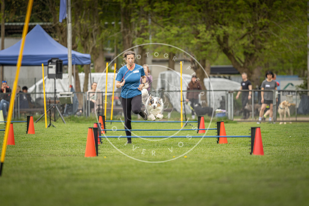 Pfotenfotografie_DV3A8557 | Hundefotografie, Tierfotograf, Pfotenfotografie, Fotoshooting Hund, Hunde Portrait, Hundesport, Hundeportraits, Heideshooting, Hunde, Sportfotograf, Hundefotograf, Turnierhundsport, THS,  - Realisiert mit Pictrs.com