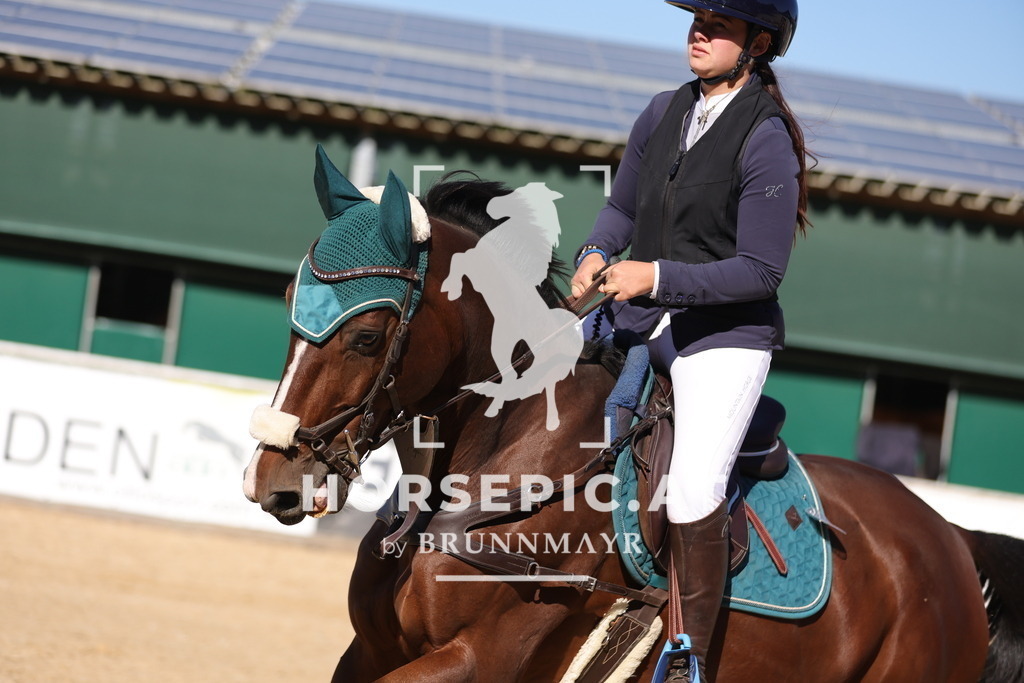 0P6A0794 | Willkommen bei Brunnmayr - Design & Fotografie – Ihrem Spezialisten für Reitturniere und Pferdeveranstaltungen in Oberösterreich, Salzburg und Bayern! Seit über 17 Jahren sind wir leidenschaftlich dabei.