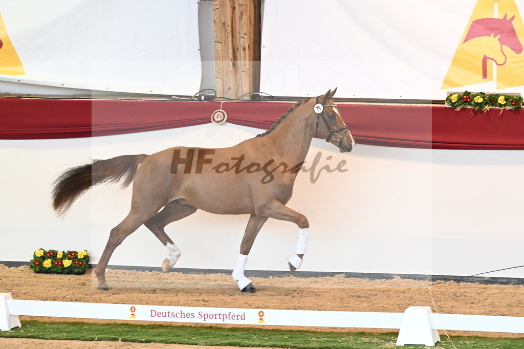 Kat.-Nr. 74 v. Va Bene_Schumacher_2240647 | hf-fotografie - Realisiert mit Pictrs.com