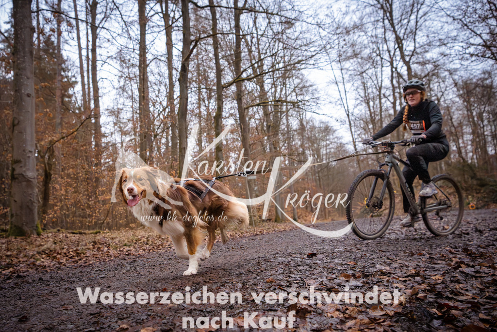0819_ZZ94484 | kk-dogfotos