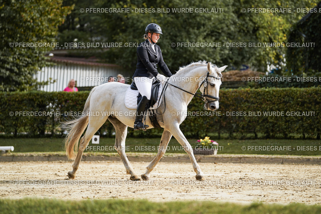 DSC04237 | Pferdegrafie