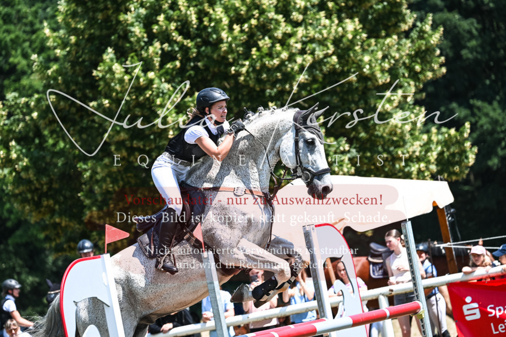 DSC_0301 | Pferde- und Turnierfotografie in Westsachsen. Pferdeportraits, Auftragszeichnungen und intuitive Kunst.