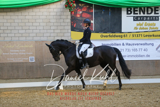 IMG_2562 | Turnierfotos kaufen im Webshop von Daniel Kuhl Photography – entdecke professionelle Reitsportfotos aus Turnieren & Events. Hochwertige Turnierbilder online bestellen & sichern. Jetzt Fotos von Reitsportturnieren kaufen!
