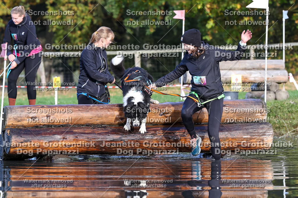 Dog Paparazzi - Strongdog 10-25-8542 | Dog Paparazzi Jeanette Grottendiek Fotografie & Videografie