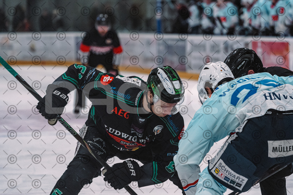 Alligators_vs_Heilbronn_08_02_2026-27 | Höchstadt Alligators Fotogalerie: Eishockey-Action aus Franken. Professionelle Spielfotos, Portraits & Stadionbilder zum Download. Jetzt entdecken! - Realisiert mit Pictrs.com
