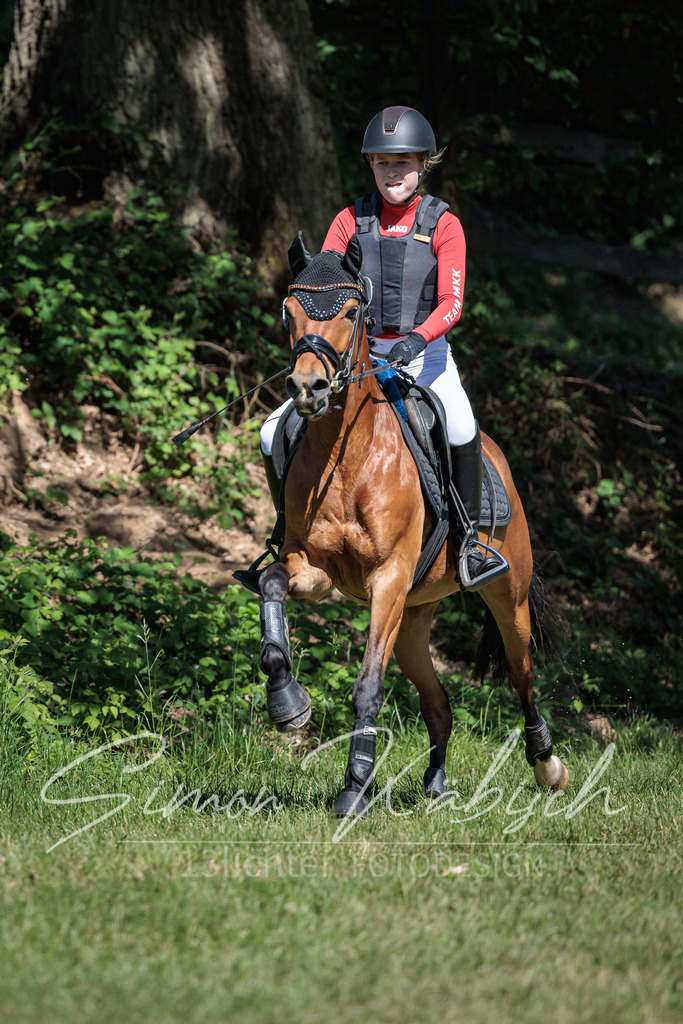 20260523-_3LI7521 | Tierfotografie Pferde, Hunde, Katzen, Haustiere.
Turnierfotografie Reitturniere, Reiten, Springreiten, Dressur in Hanau, dem Main-Kinzig-Kreis und dem Rhein-Main- Gebiet um Frankfurt