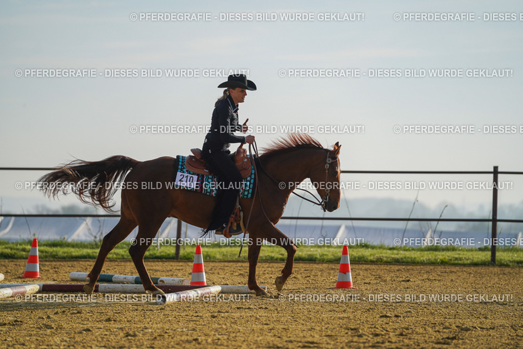 DSC00118 | Pferdegrafie