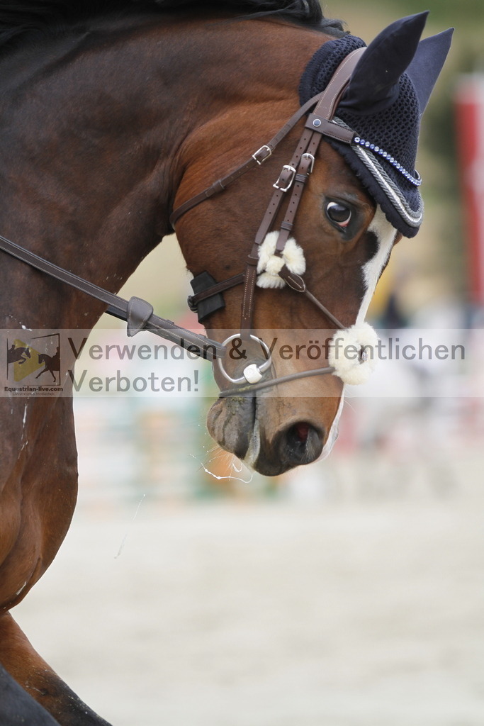 _MG_1067 | equestrian-live-com