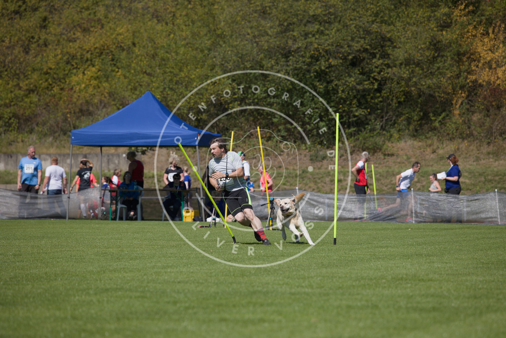 0L8A6401 | Hundefotografie, Tierfotograf, Pfotenfotografie, Fotoshooting Hund, Hunde Portrait, Hundesport, Hundeportraits, Heideshooting, Hunde, Sportfotograf, Hundefotograf, Turnierhundsport, THS,  - Realisiert mit Pictrs.com
