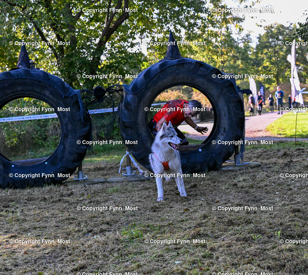 DSC_5511 | Hallo und herzlich Willkommen auf meiner Shop-Seite Fynn Most.

Ich wünsche Dir viel Spaß beim stöbern durch die Bilder, wenn Du Fragen hast oder Bilder vermisst, kannst du mir gerne eine Nachricht schreiben. - Realisiert mit Pictrs.com