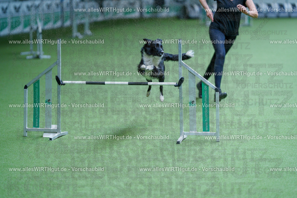 @allesWIRTHgut_Tierfotografie - www.allesWIRTHgut.de - 2604261237-7R501271 | Professionelle Tierfotografie in Mönchengladbach von Daniel Wirth (allesWIRTHgut). Liebevolle & natürliche Bilder von Hunden & Katzen für unvergessliche Erinnerungen.