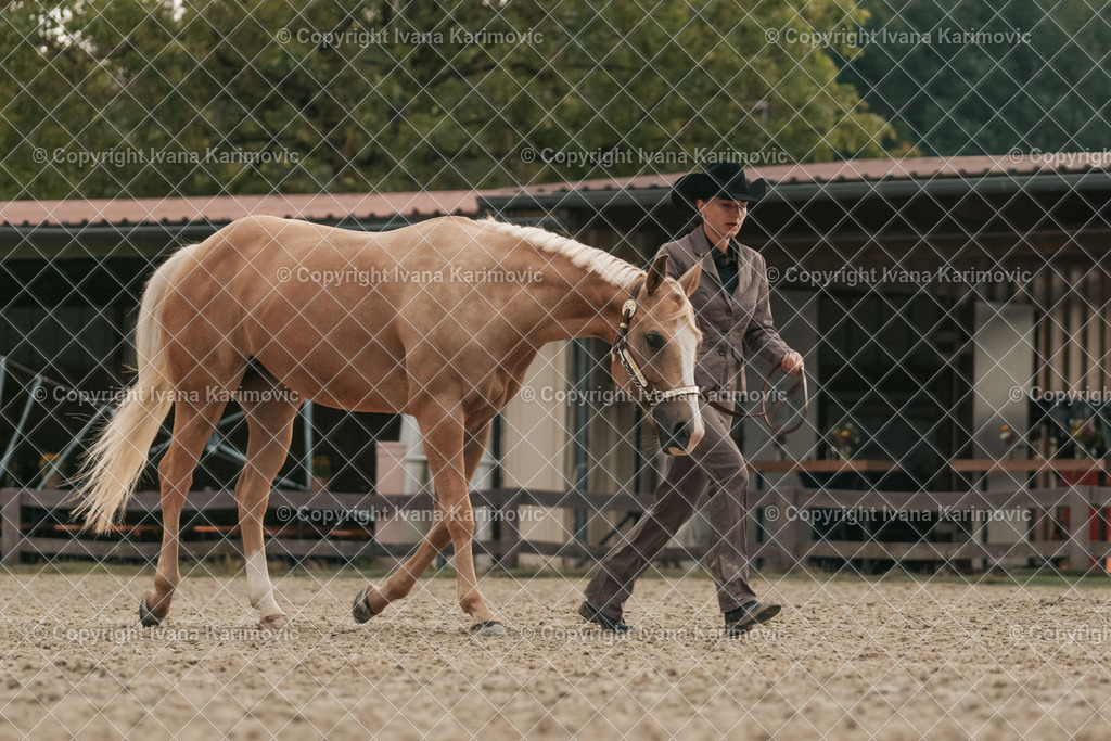 DSC02748 | ikphotography - Realisiert mit Pictrs.com