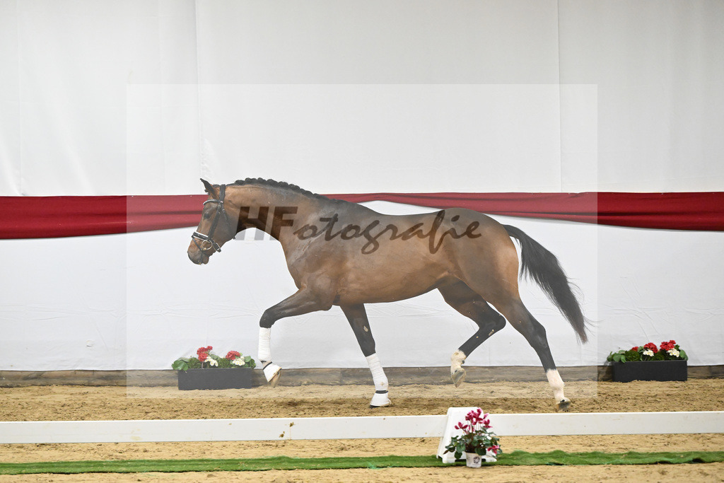 Kat-Nr. 60 v. Valverde_Schoenland_63221816 | hf-fotografie - Realizzato con Pictrs.com