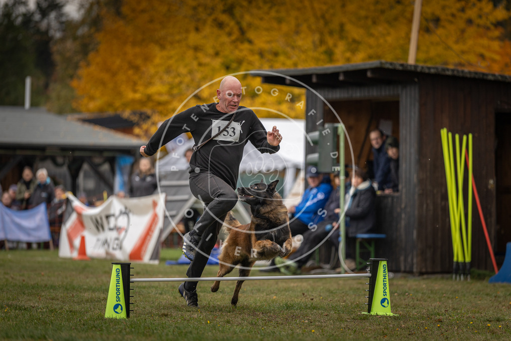Pfotenfotografie_DV3A6052 | Hundefotografie, Tierfotograf, Pfotenfotografie, Fotoshooting Hund, Hunde Portrait, Hundesport, Hundeportraits, Heideshooting, Hunde, Sportfotograf, Hundefotograf, Turnierhundsport, THS,  - Realisiert mit Pictrs.com