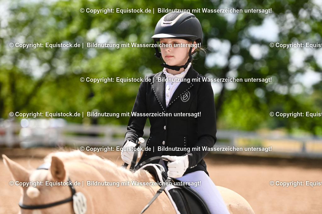 20230716_10-3_Reiter-WB Schritt - Trab - Galopp_0131 | equistock