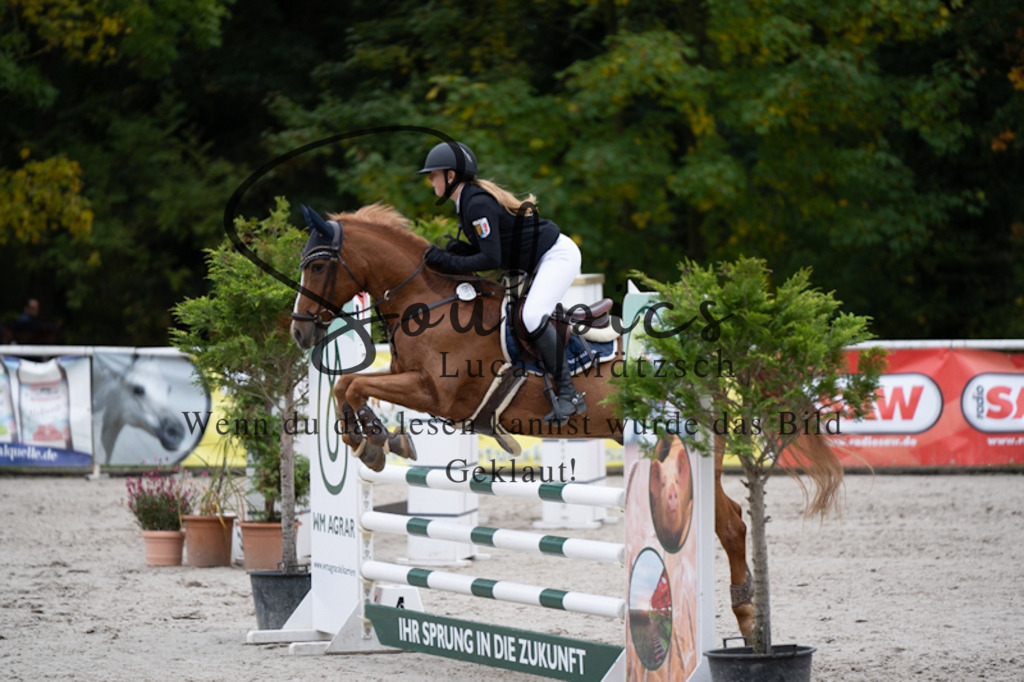 A7V00630 | Pferdefotograf