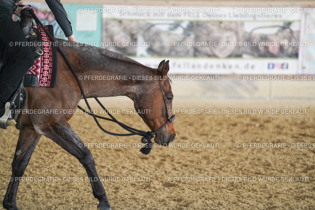 DSC09123 | Pferdegrafie