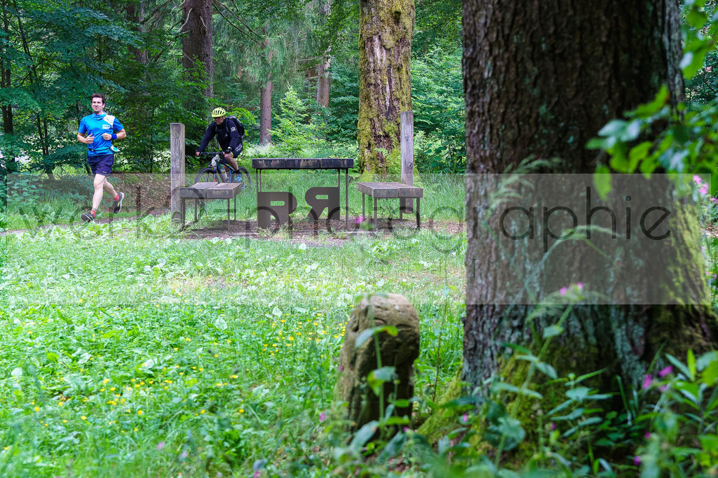 Rennsteig-Staffellauf | 24. Staffellauf - 22.06.2024 von Hörschel nach Blankenstein
