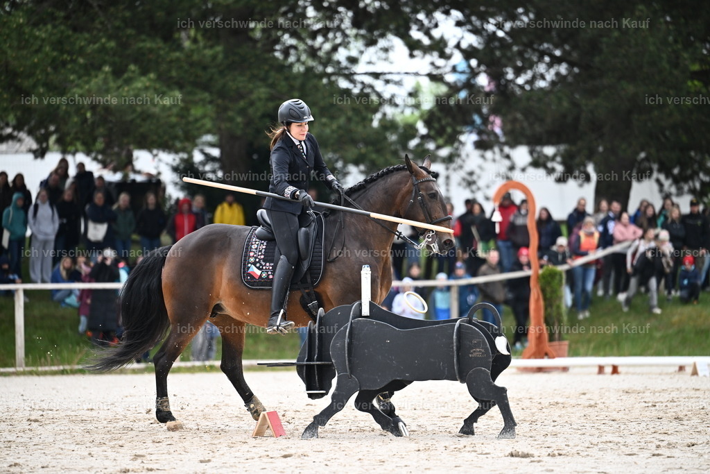 PI26_SP_Sara_Landvogt_226_4457.JPG | working equitationturnier fotograf videograf stoibphotography marixx film working equitation deutschland reitsport turnierfotografie eventfotografie equestrian events
