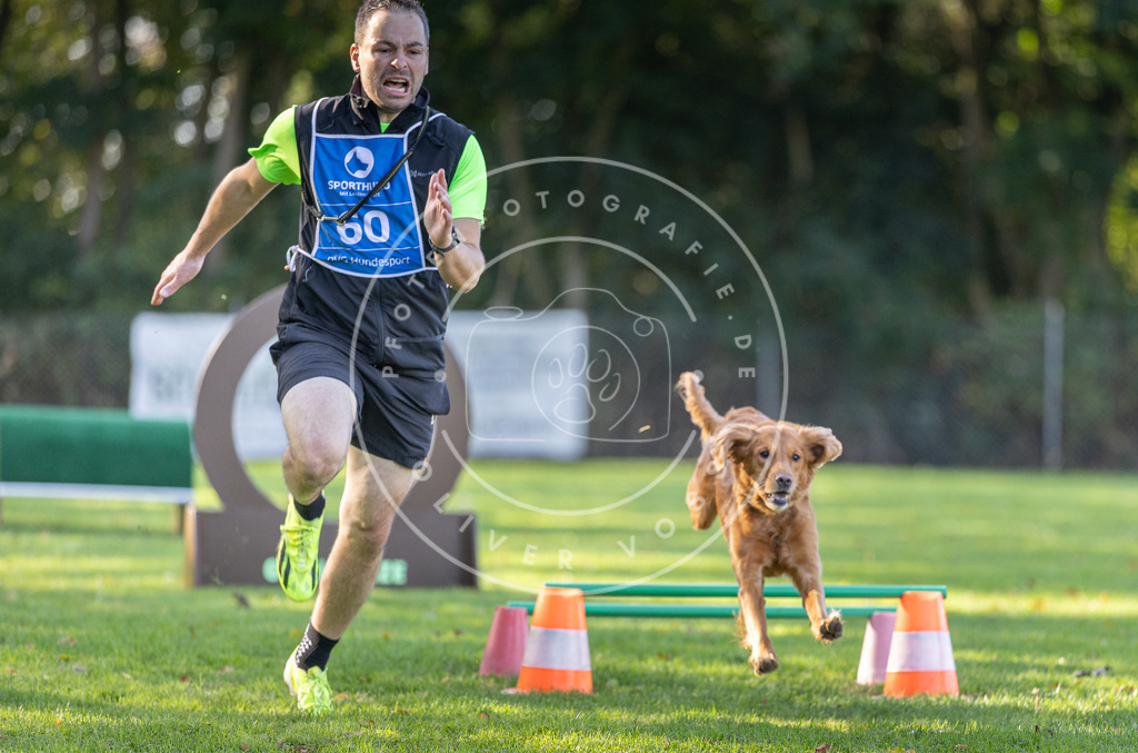 Pfotenfotografie.de_DV3A3670 | Hundefotografie, Tierfotograf, Pfotenfotografie, Fotoshooting Hund, Hunde Portrait, Hundesport, Hundeportraits, Heideshooting, Hunde, Sportfotograf, Hundefotograf, Turnierhundsport, THS, canicross - Realisiert mit Pictrs.com