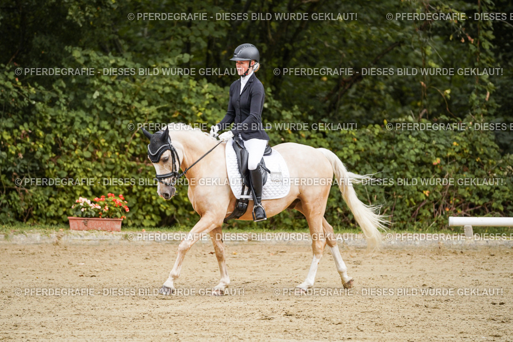 DSC08561 | Pferdegrafie