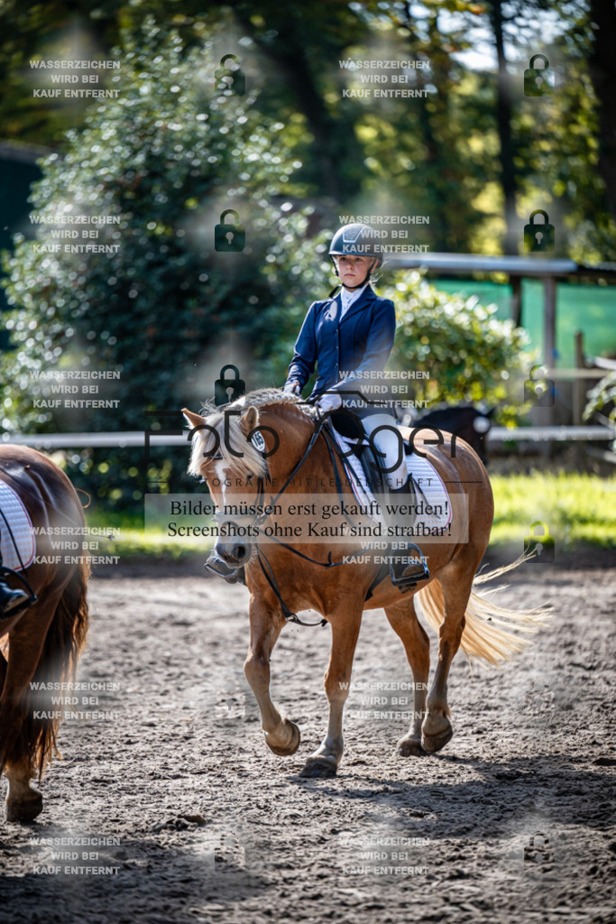 2026-10-Helle-20-4-0036 | Entdecke hochwertige Reitturnierfotos von Foto Oger. Professionell, emotional und authentisch – jetzt Lieblingsmomente im Shop bestellen.Deutschlandweite Turnierfotografie. - Realisiert mit Pictrs.com