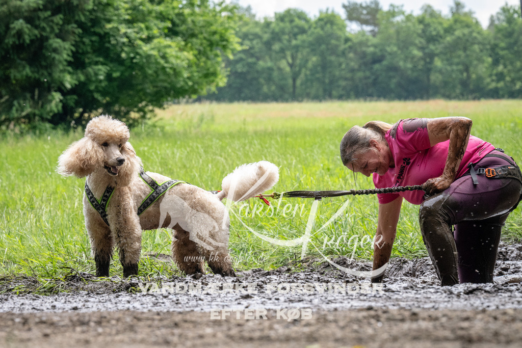 1106_ZZ91520 | kk-dogfotos