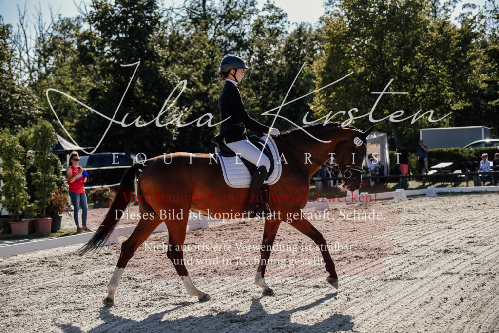 DSC_0341 | Pferde- und Turnierfotografie in Westsachsen. Pferdeportraits, Auftragszeichnungen und intuitive Kunst.