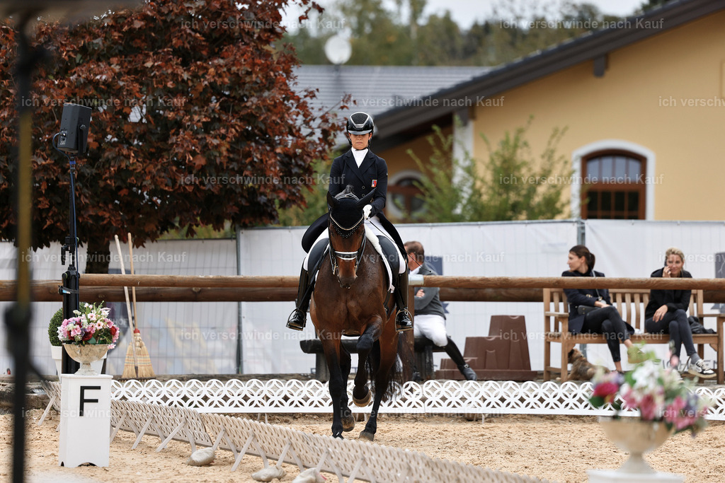 11-110-Dressur S___-StoibPH-1360 | working equitationturnier fotograf videograf stoibphotography marixx film working equitation deutschland reitsport turnierfotografie eventfotografie equestrian events