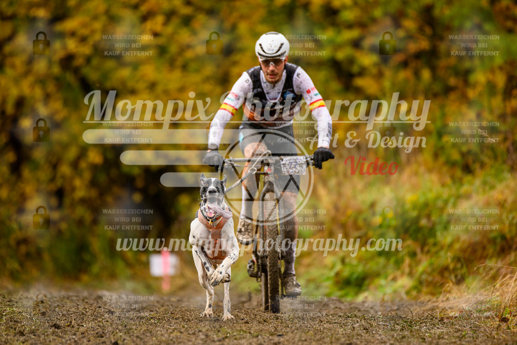 MompixPhotography_ICF_WC_2024_SA_Bike_-3 | PayLife