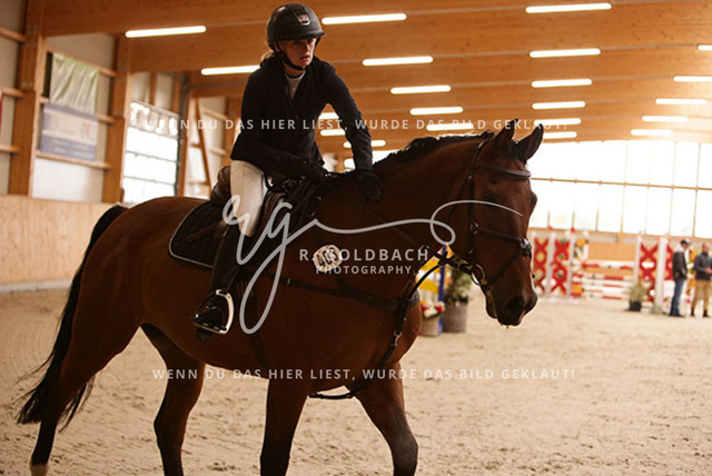 1J2A2417Louisa Schneider_ Vento 56_ Kn483_ Hohen Wieschendorf_ Glantz | Foto- und Videografie für alles rund ums Pferd. Hochwertige Bilder und Videos vom Spring- und Dressurreiten, Voltigieren & mehr. Jetzt aktuelle Veranstaltungen und Preise im Shop ansehen. - Realisiert mit Pictrs.com