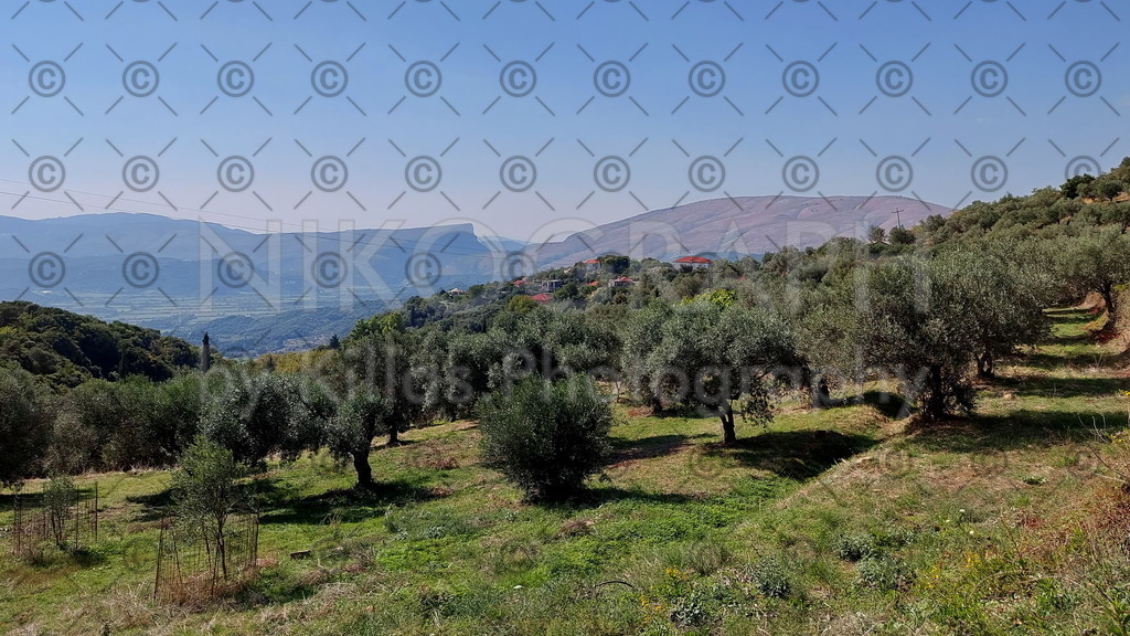 Olivenhain | Das Dorf Kato Palaiokklision (Káto Palaiokklísion) liegt in der Präfektur Thesprotia (Θεσπρωτία) der Region Epirus (Ήπειρος) im Nordwesten Griechenlands. Laut Zensus 2011 hat Kato Palaiokklisi rund 50 Einwohner. Kato Palaiokklisi gehört der Gemeinde Filiates an.