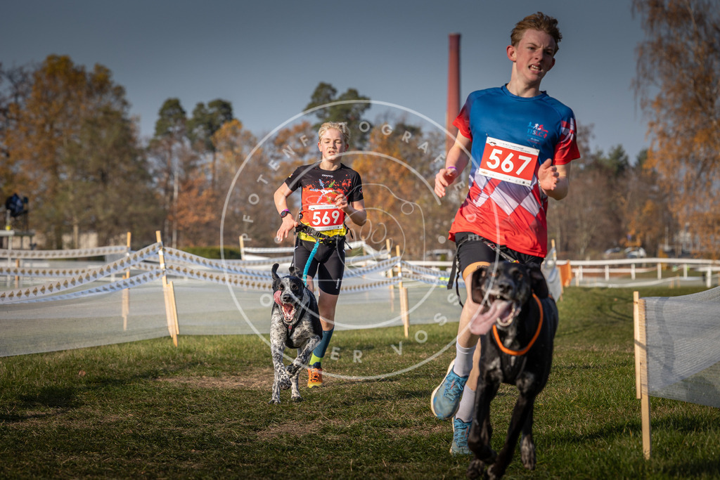 CaniXpix_0L8A9472 | Hundefotografie, Tierfotograf, Pfotenfotografie, Fotoshooting Hund, Hunde Portrait, Hundesport, Hundeportraits, Heideshooting, Hunde, Sportfotograf, Hundefotograf, Turnierhundsport, THS,  - Realisiert mit Pictrs.com